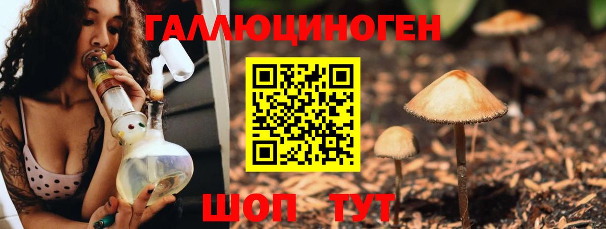 Домодедово  Псилоцибиновые грибы GOLDEN TEACHER  Вход с VPN  Псилоцибиновые грибы GOLDEN TEACHER 