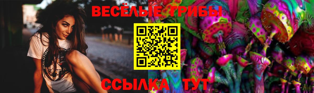 Псилоцибиновые грибы GOLDEN TEACHER  Домодедово 